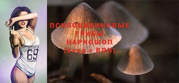 ECSTASY Покров