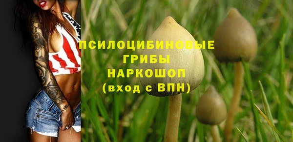 ECSTASY Покров